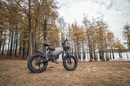ROGUWEX X5S rugged fat-tire e-bike parked by a lakeside forest.
