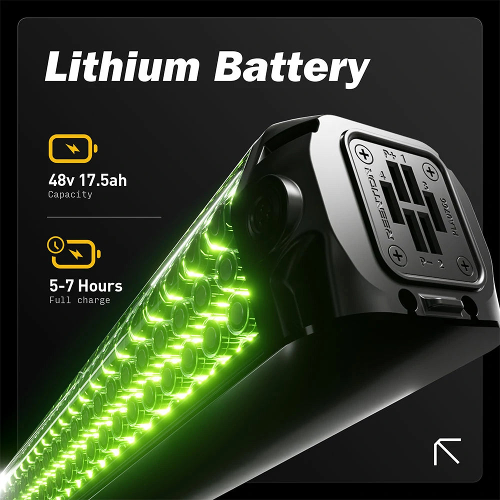 RZOGUWEX RX700 (EU) Electric Bike