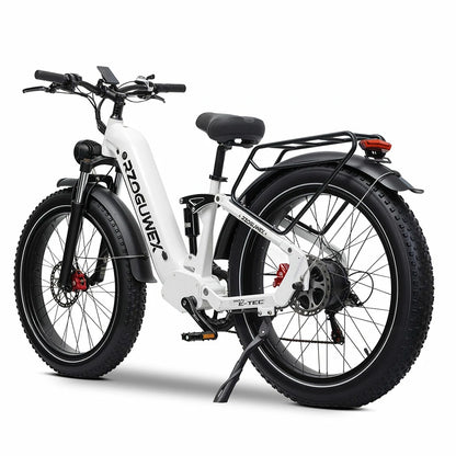RZOGUWEX S9 (UK) Electric Bike